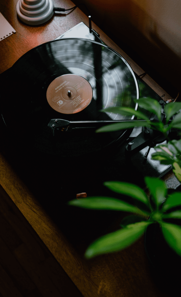 kevin-mccutcheon-TcSckNRL9J8-unsplash - SongShop - SongShop Online Song Pitching & Licensing